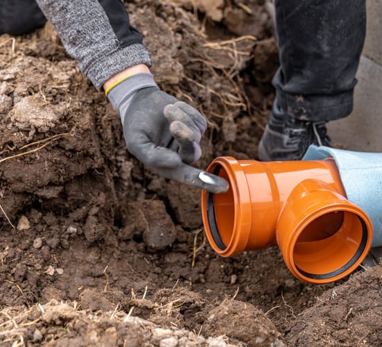 'Untreated sewage' in Ireland poses huge public health risk - MEP