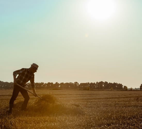 Oireachtas agri committee to discuss farm health and safety