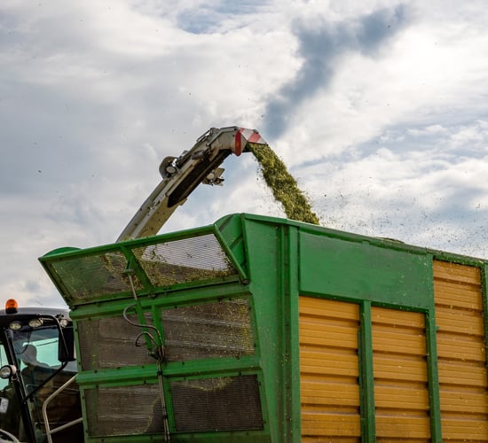 UK report: Farmers advised to assess feed stocks following dry weather spell