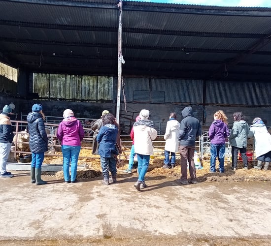 Farm walk set to explore the future of the industry