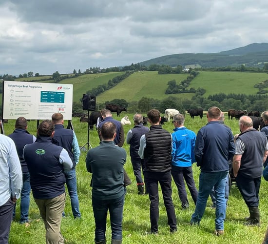 ABP Demo Farm reports 32% lower emissions while producing 'heavier cattle'