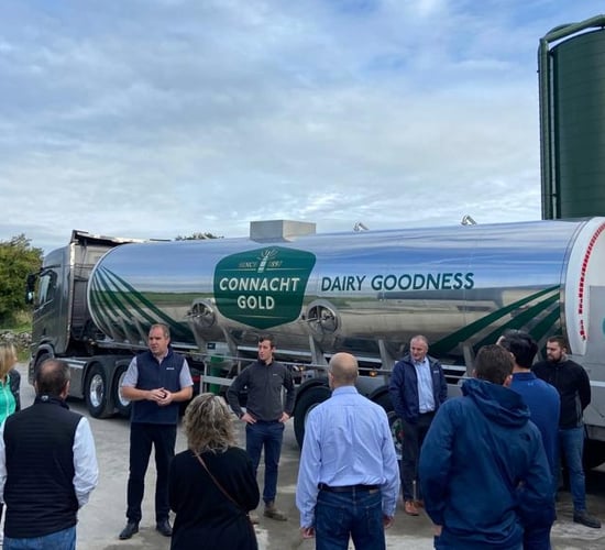 What advice is available for new entrants into dairying?