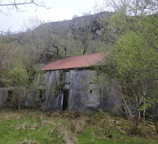 NPWS to renovate derelict farmhouse to enhance bat roost