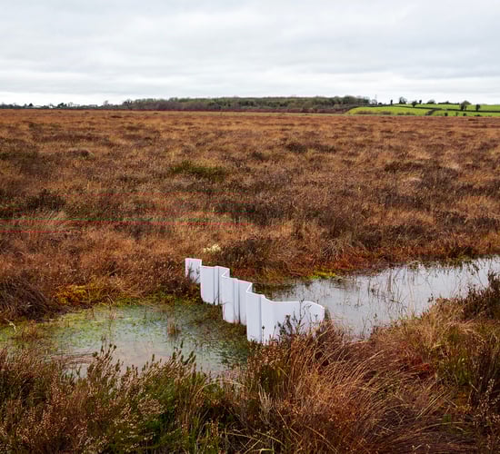 Working towards a new peatlands architecture