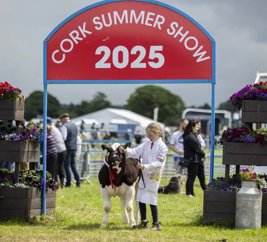 Gallery: Catch up with the Cork Summer Show