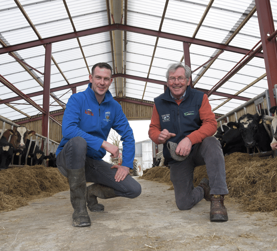 Meet the father and son maximising beef output for a healthy profit