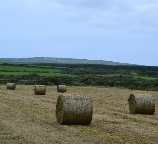 The environmental edge: Redefining sustainable round baling