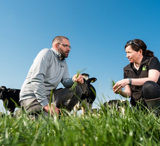 Sustainable gains: Clover success for Co. Limerick dairy farmer