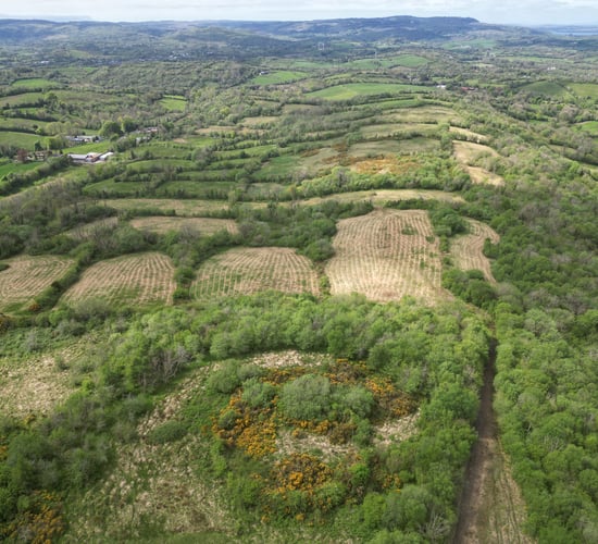 Ulster Wildlife buys 90ac of Fermanagh farmland for nature reserve