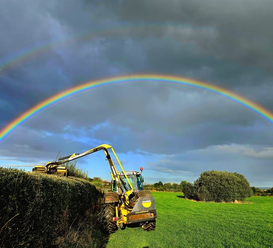 Hedgerows Ireland: Unnecessary confusion about hedge cutting laws
