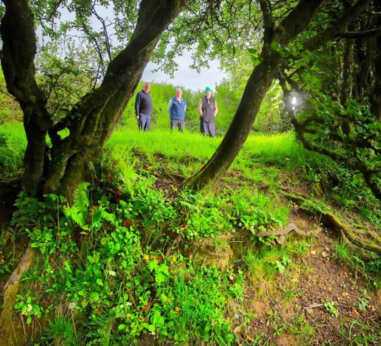 Initiative to protect natural heritage now open to community groups