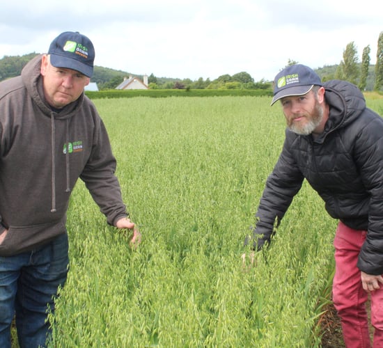 Talking crops' progress and the politics of tillage with IGGG