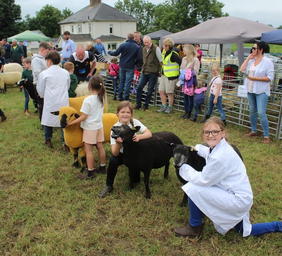 Elite Simmental cow takes Newry Show 2025 beef inter-breed championship