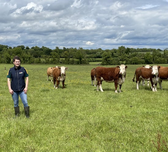 Listen: A reverence for cattle breeding in the 'Royal County'