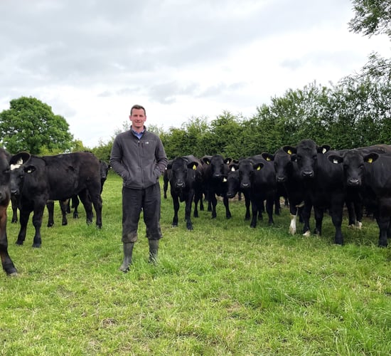 Listen: Young farmer with 170 cattle on a 100% leased farm