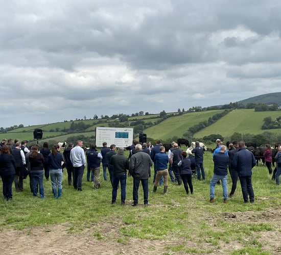 How many farmers are in the Advantage Beef Programme?