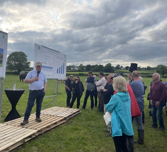 Why this farmer believes the best cattle in Ireland are in the west