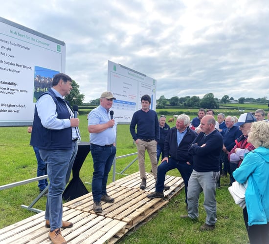 Factory insight on beef price and heavy carcass markets