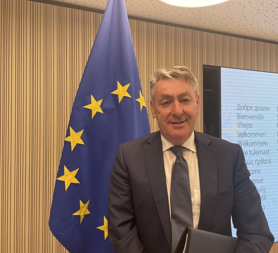 Irish MEP: 'A lot of concerns' about next CAP budget
