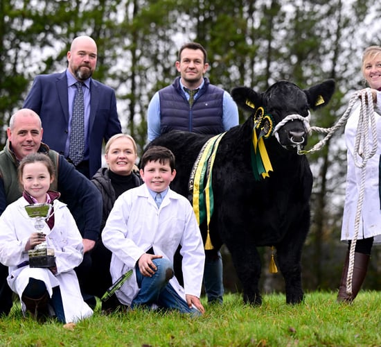 Drumhill Aberdeen Angus to host event marking 150th herd book