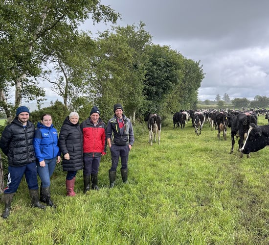 Grass quality, reseed progress and finishing up AI in Co. Cork