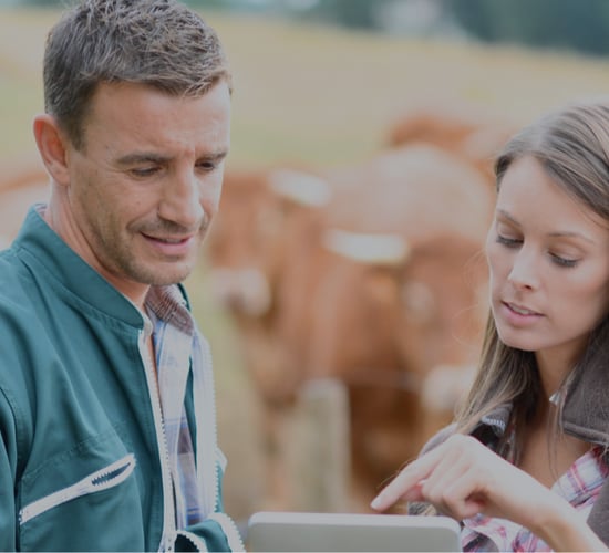 Grow your future: Masters in Agricultural Extension and Innovation