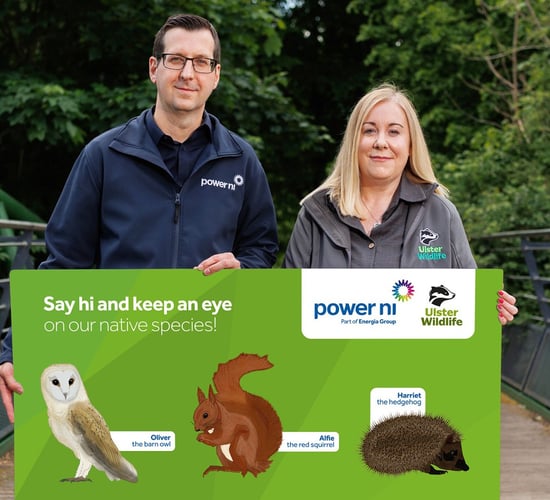 Power NI 'dedicated' to a sustainable future