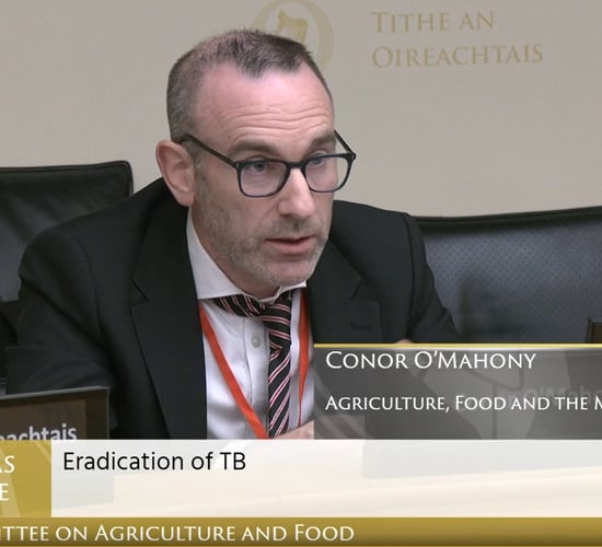 Ag committee told cost of current TB programme expected to hit €130m