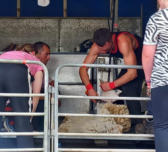 Kerry farmer to take on 50-hours of 'shear craic' for charity