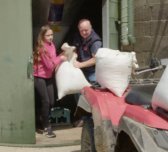 Watch: Milking 66 cows with the help of young daughter in Wexford