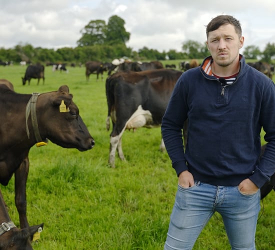 How genotyping is powering performance on a Co. Westmeath share farm