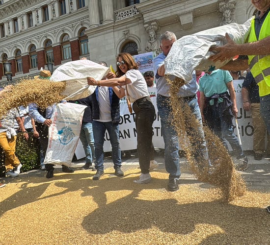 Spanish farmers protest over grain imports and fertiliser tariffs