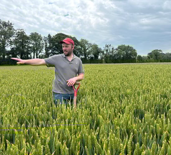 'How we were farming was not giving us the reward' - tillage farmer