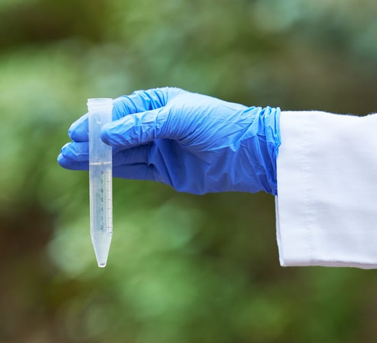 North Cork Creameries: Discharge of treated wastewater 'identified'