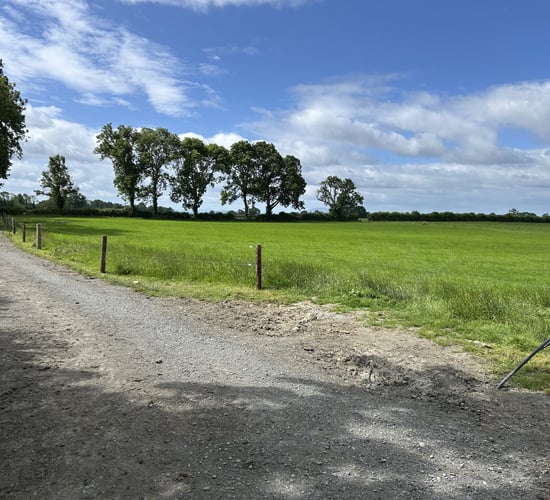 Lameness: Weather allowing for farm roadways revamp before next season