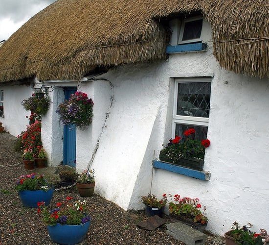 Senator calls for ETB courses to protect thatching tradition