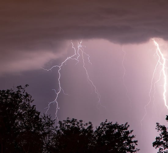 10 cattle killed following lightning strike in Cavan