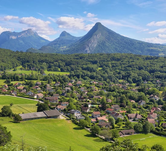 Contagious animal disease detected in France for first time