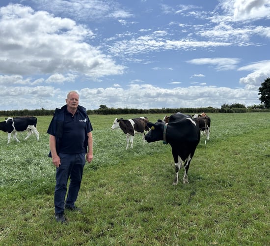 Dairy Focus: Converting to milking to support the next generation