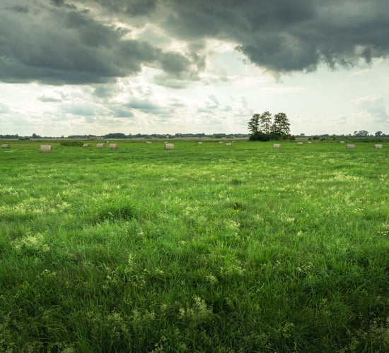 Met Éireann: Milder temperatures and frequent showers this week