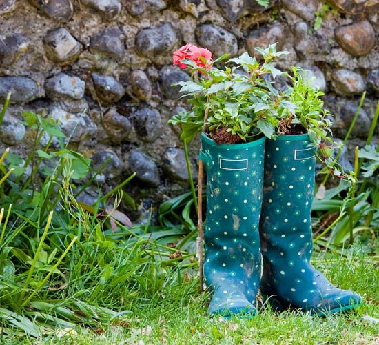Upcycling wellies project to bring colour to Oireachtas garden