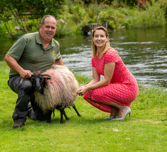 New trails highlight stories of sheep, wool and films in Connemara