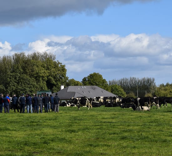 Farm walk to shine spotlight on dairy diversity at Derrinsallow Herd