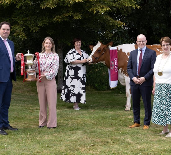 Baileys Champion Cow competition returns to Virginia Show