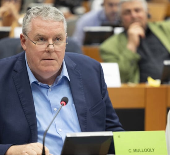 'No upside for Ireland' in US-EU trade deal - Mullooly