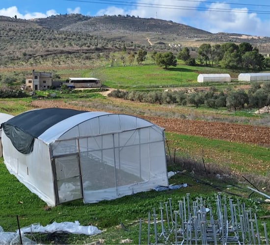 Sky's the limit for a West Bank land and farming co-op