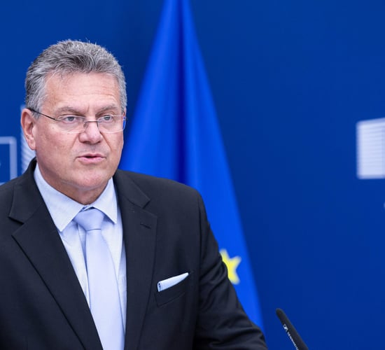 30% tariff on EU imports to US 'prohibitive' to trade - commissioner