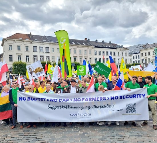 Farmers protest in Brussels ahead of CAP proposals being unveiled