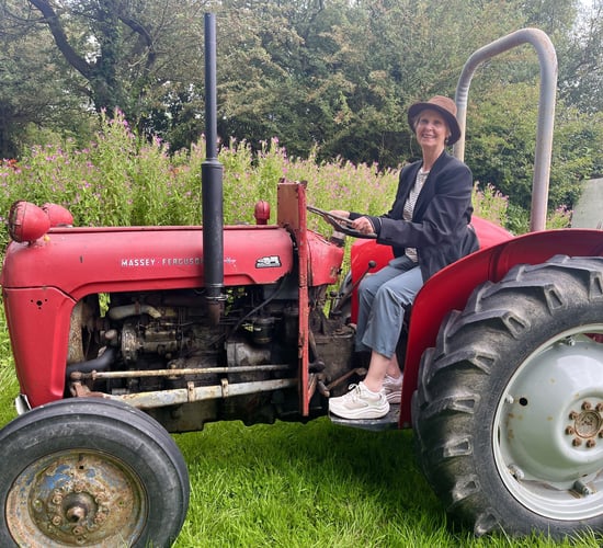 Sex and the City star gets a taste of farming life in Kerry