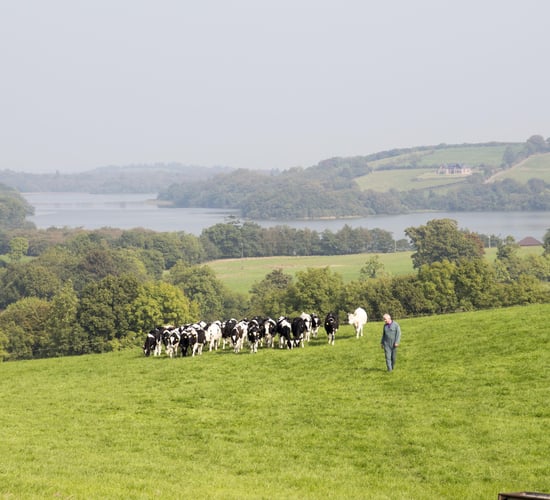 Cavan farm walk to discuss cashflow and succession